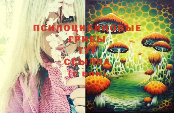 соль курить ск Лабытнанги