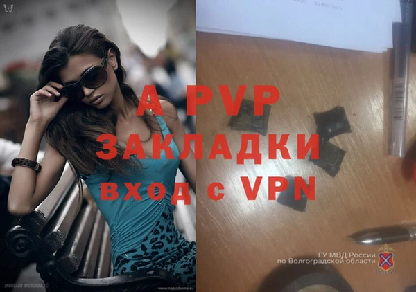 прущие крисы Магас