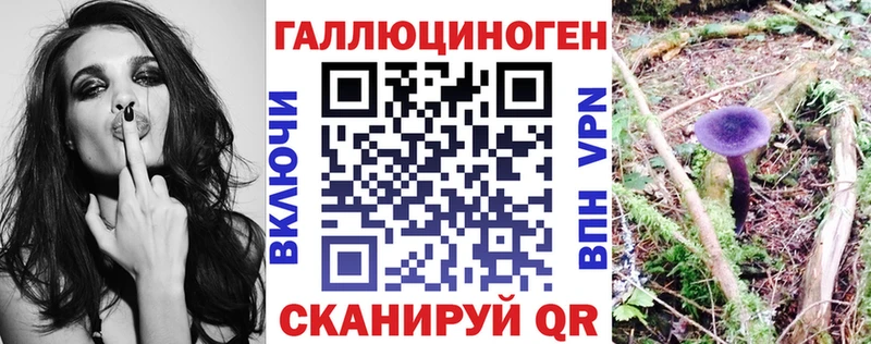 Псилоцибиновые грибы MAGIC MUSHROOMS  hydra маркетплейс  Тында 
