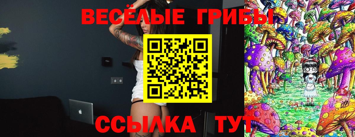 где купить наркотик  Вход с VPN  Тында  Псилоцибиновые грибы мицелий 