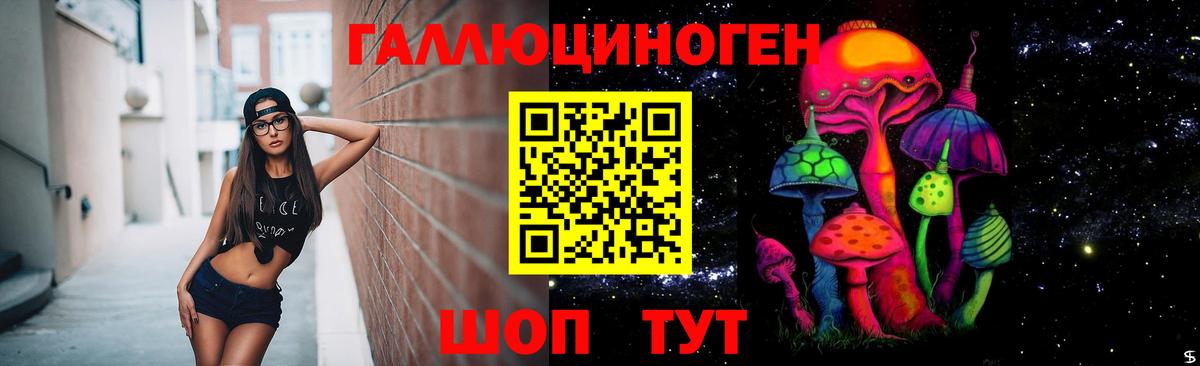 Галлюциногенные грибы Cubensis Тында